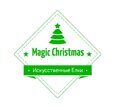 Magic Christmas