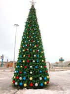 Сосна Каркасная Ростовская 4 м, ЛЕСКА