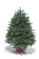 Искусственная елка Баварская в мешочке 60 см, литая+пвх