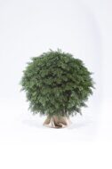 Искусственная туя-шар 65 см