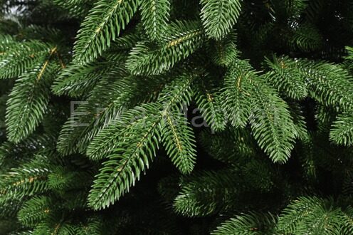 Искусственная елка Илона 2.1 м, ЛИТАЯ 100%